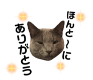 488788378