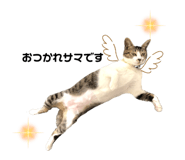 488788383