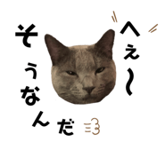 488788384