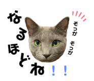 488788385