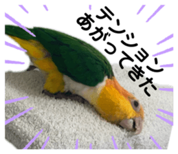 488790872