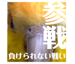 488790875