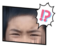 488794535