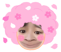 488834706