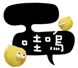 488853406