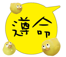488854382