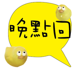 488854391