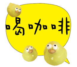488854394