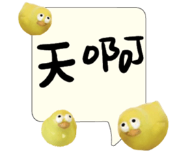 488855231