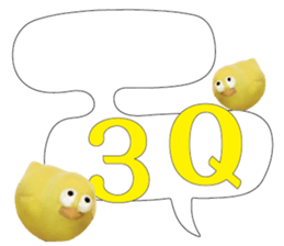 488855694