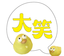 488855714