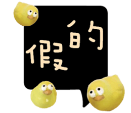 488856031