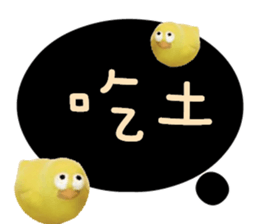 488856033