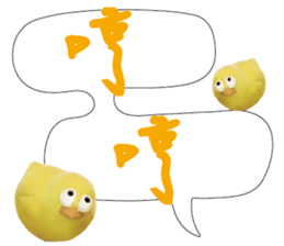488856774