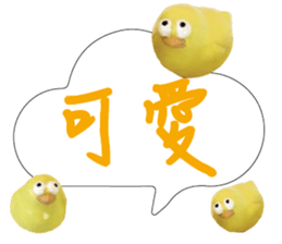 488856804