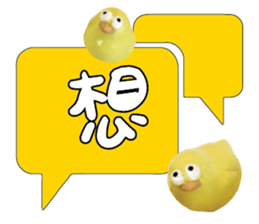 488857945