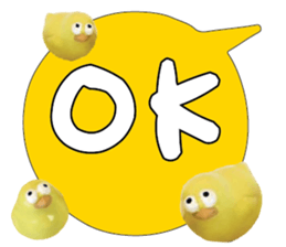 488857958
