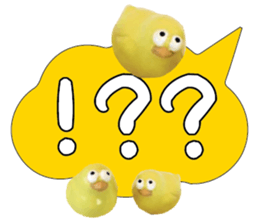 488857964