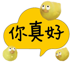 488858132
