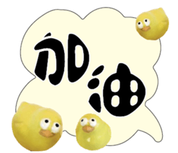 488859475