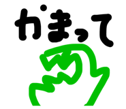 488896558