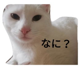 488930869