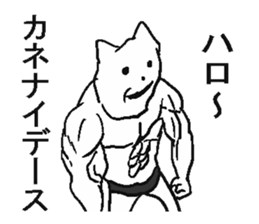 4889629