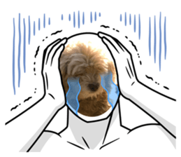 488965889