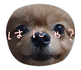 488971923