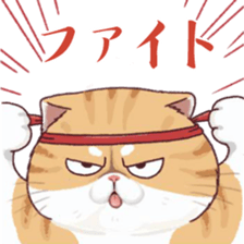 488972689