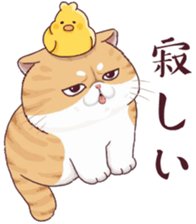 488972692