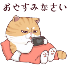 488972699