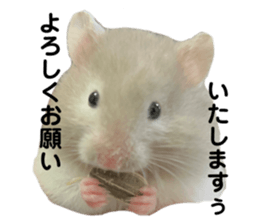 488979740