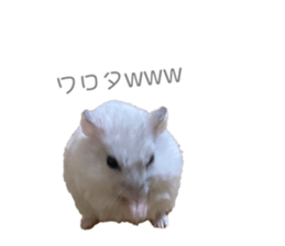 488993189