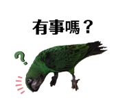 489031892