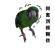 489031894