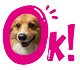 489109248