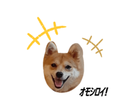 489125555