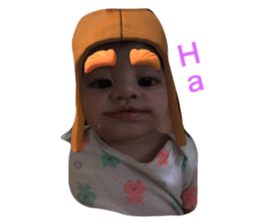 48923778