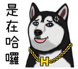 489288789