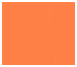 489306323