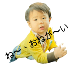 489326434
