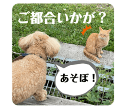 489328944