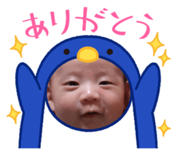489334807