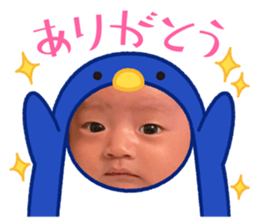 489365181