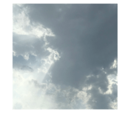 489378432