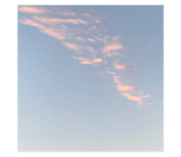 489378436