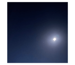 489378437