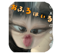 489429392