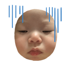 489433086
